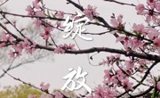 【教师发展】云端碰出“火花”，看教育人的坚守与追求